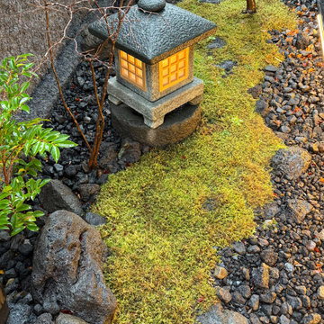 旅館の坪庭
