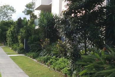 Photo of a contemporary garden in Brisbane.