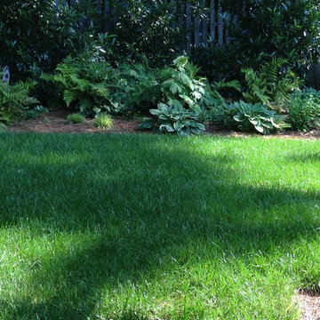 Dramatic Terraced Garden