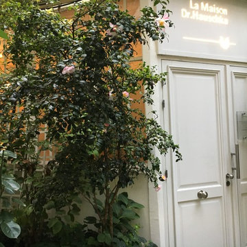Jardin d'ombre, jardin de feuillages