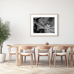 September 2023 Catalog Sample - Prints And Posters