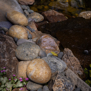 Songbird Waters