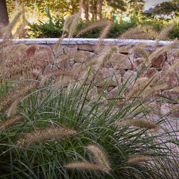 Family Back Yard