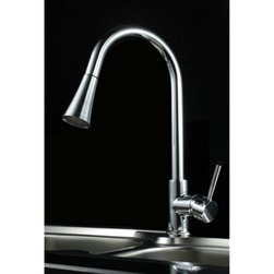 Pull-Out Kitchen Sprayer - Kitchen Faucets
