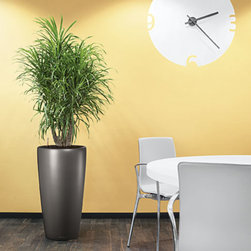 Modern Planter - Products