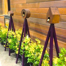 GreenGardener's growing tips