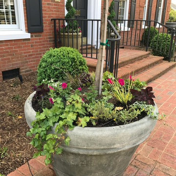 Raised Gardens, Urns, and Seasonal Plantings