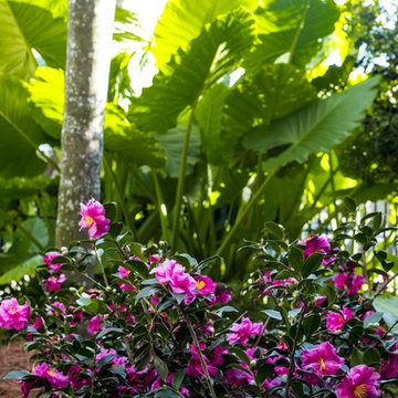 Garden District, New Orleans
