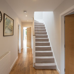 Inspiration for a medium sized modern carpeted straight wood railing staircase in Surrey with carpeted risers.