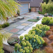 FRONTYARD
