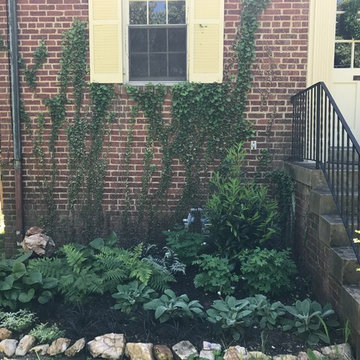Chevy Chase Foundation Planting