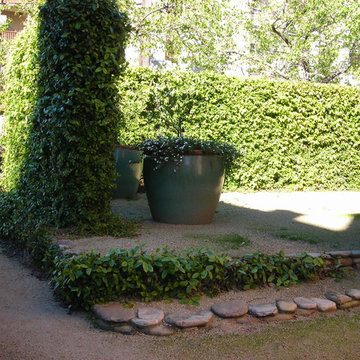 Bush Project