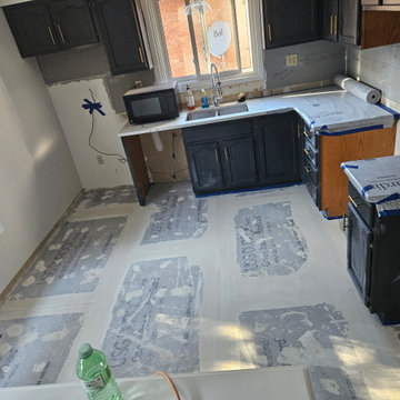 Kitchen Remodel (Floors & Backsplash)