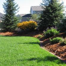 berm/landscaping