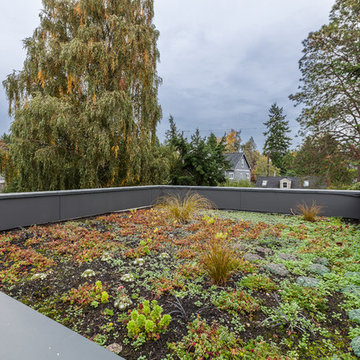 Method Homes Custom Elemental 3