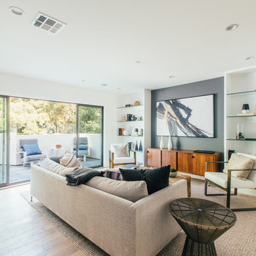 Contemporary Living Room