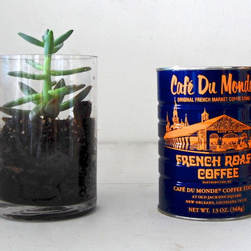 DIY: Terrariums by Stems in Brooklyn
