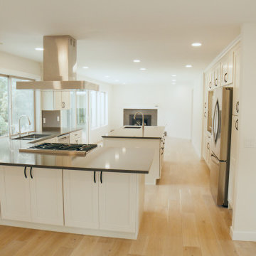 Bellevue Full Home Renovation by Levite Construction Co.