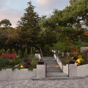 Colorful Modern Viewpoint