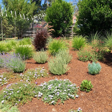 Small Changes, Big impact in Cupertino