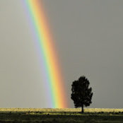 Foto de Bob Wucher
