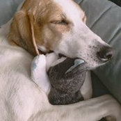 Jennifer Monteforte's photo