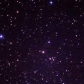Ray Lombardi's photo