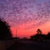 Sheila Jenkins's photo