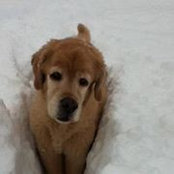 Susan O'Brien's photo