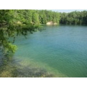 Caroline Bonard's photo