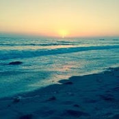 Holly Natonick's photo