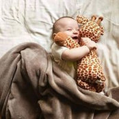 شروق الشامي's photo