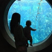 Heidi Schneider's photo
