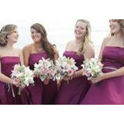 Laura Smallman's photo