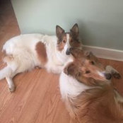 Claire Colebrook's photo