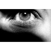Ugur Serafettinoglu's photo