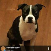 Daniel Boone's photo
