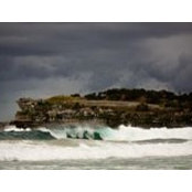 Darrin Gavey's photo