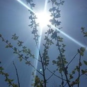 Rhonda Pennington's photo