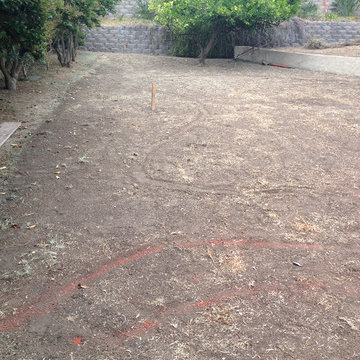 Before