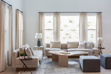 Living room - transitional living room idea in Other