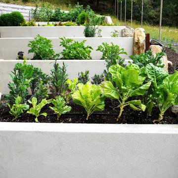 Extraordinary Greenery