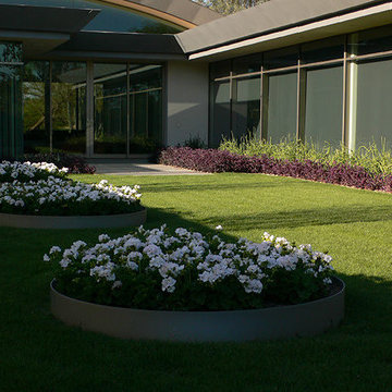 Modern Botanical Garden | Rear Yard Cluster Planting