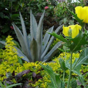 Tropical Landscape Design
