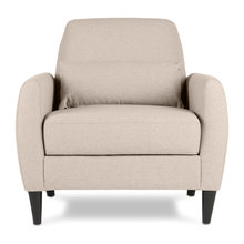 living room/den furniture