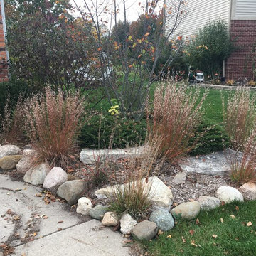 Native Grasses