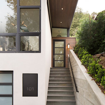 Larkspur Luxe
