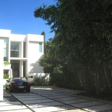 Tropical Modern