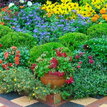 Lush, Exotic Andalusia