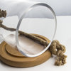 Glass Dome Cloche Bell Jar Terrarium, Natural Wood Base, 12.5", Set of 2